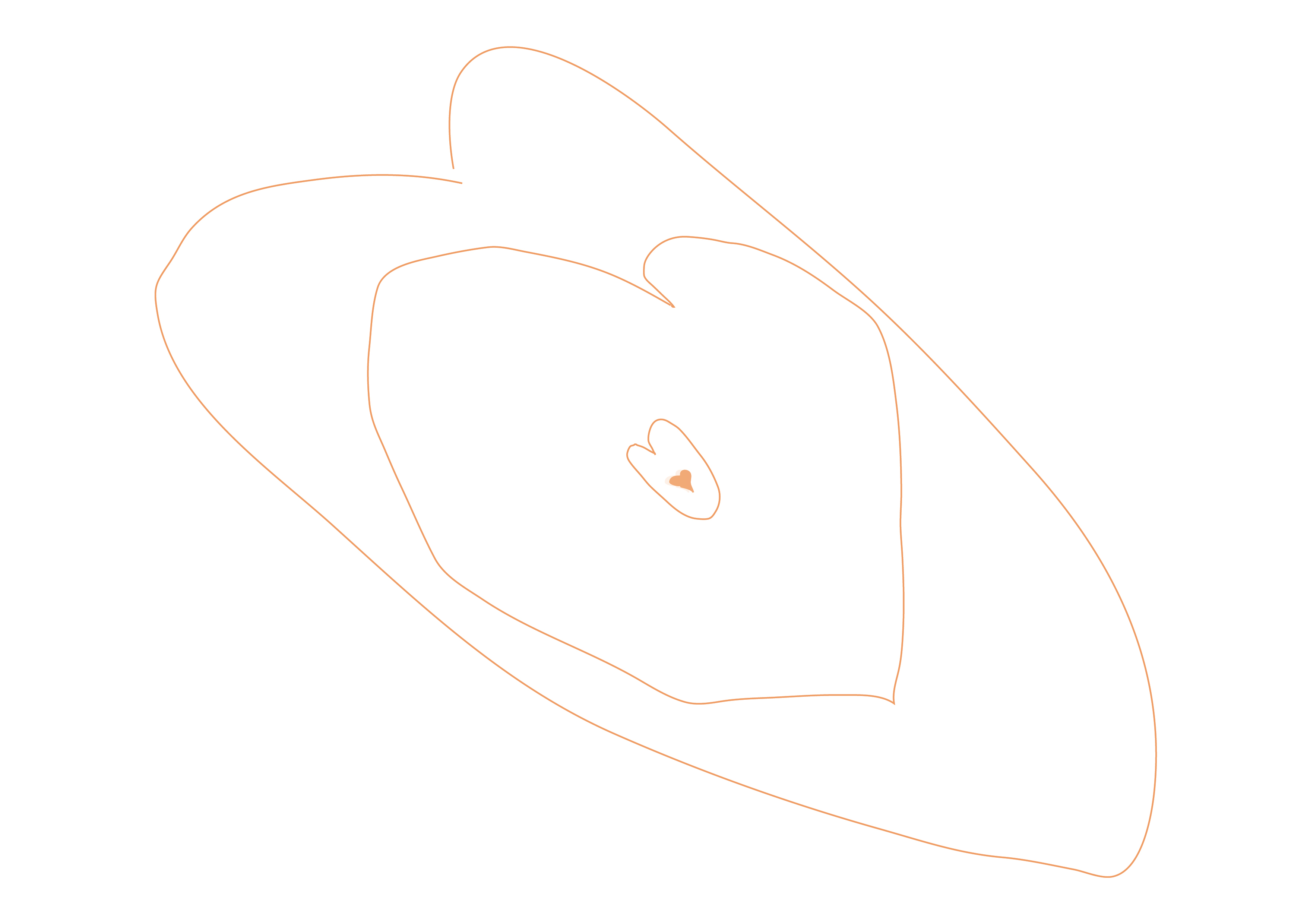 CGS sketch